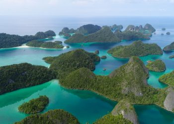 Konservasi Hiu dan Pari Dongkrak Wisata Bahari Raja Ampat hingga Mendunia