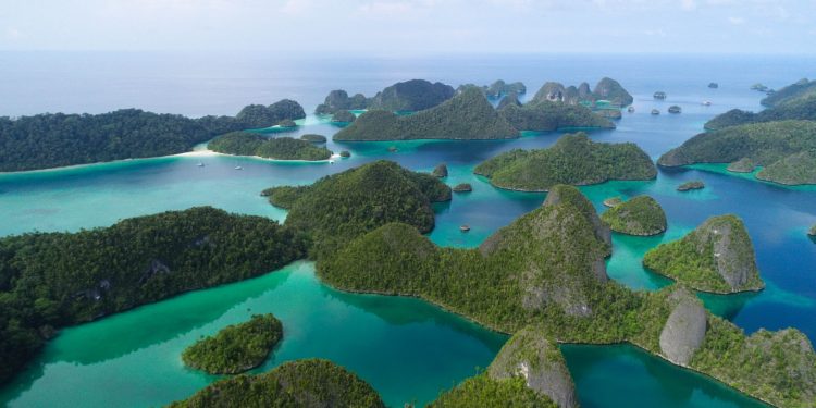 Konservasi Hiu dan Pari Dongkrak Wisata Bahari Raja Ampat hingga Mendunia