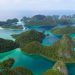 Konservasi Hiu dan Pari Dongkrak Wisata Bahari Raja Ampat hingga Mendunia