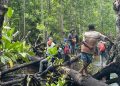 Mitigasi Perubahan Iklim, UNIPA Gagas Penelitian Mangrove dan Lamun