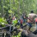 Mitigasi Perubahan Iklim, UNIPA Gagas Penelitian Mangrove dan Lamun