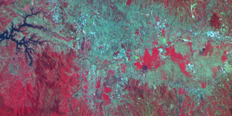 Peneliti Gunakan Satelit untuk Monitoring Vegetasi hingga Deforestasi