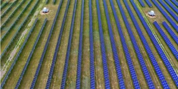 IPCC Sebut China Pimpin Aksi Iklim Global