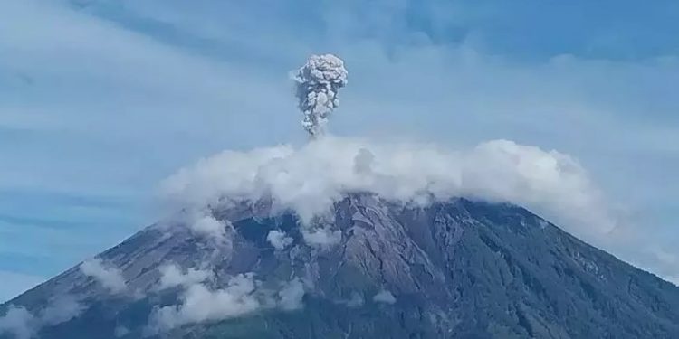 Erupsi Gunung Semeru, Warga Diminta Menjauh Radius 13 Km