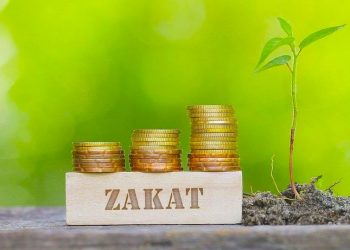 UNDP, BAZNAS dan BSI Kolaborasi Kembangkan Zakat Hijau di Indonesia
