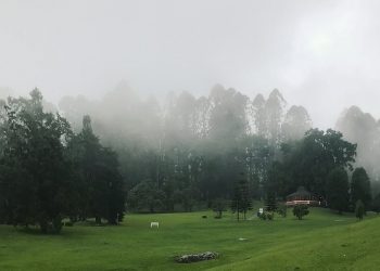 Kebun Raya Cibodas Rayakan 173 Tahun: Komitmen Nyata dalam Pelestarian Tumbuhan Indonesia
