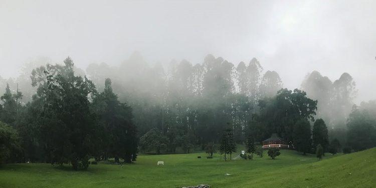 Kebun Raya Cibodas Rayakan 173 Tahun: Komitmen Nyata dalam Pelestarian Tumbuhan Indonesia