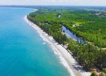 Potensi Tsunami di Pantai Gosong: Ancaman Nyata untuk Tapak PLTN Kalimantan