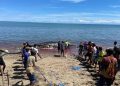 Tragedi Sunyi di Pantai Amtasi: Paus Sperma Raksasa Mati Terdampar di Laut Timor