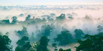 Realisasi Belanja Aksi Iklim di Indonesia Tembus Rp610 Triliun