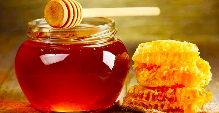 Madu Klanceng: Superfood Masa Depan dengan Manfaat Luar Biasa untuk Kesehatan