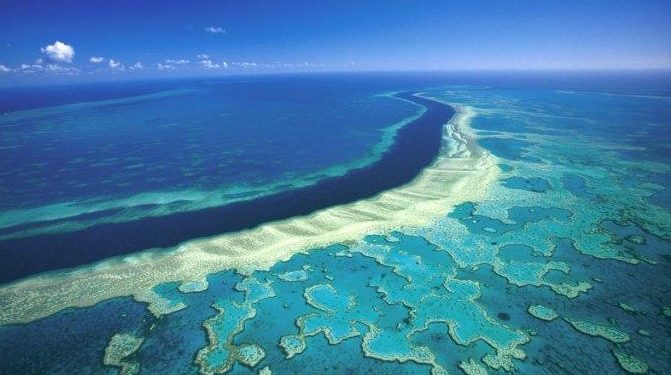 Krisis Terumbu Karang Dunia: 84% Terancam Musnah Akibat Pemanasan Global