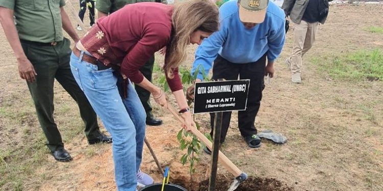 Indonesia Luncurkan Inisiatif Konservasi Hutan dan Lahan Gambut di Riau