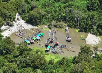 Penambangan Emas Ilegal di Tanjung Puting Terbongkar: 12 Pelaku Diamankan, Terancam 15 Tahun Penjara