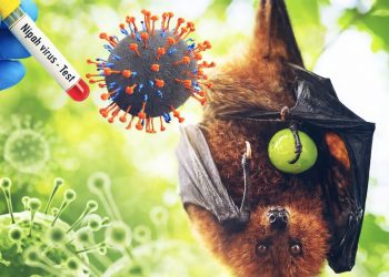 Wabah Virus Nipah Mengancam Asia, Indonesia Mulai Siaga