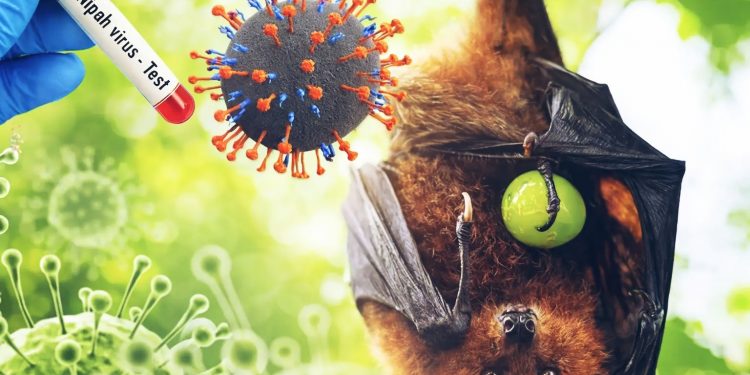 Wabah Virus Nipah Mengancam Asia, Indonesia Mulai Siaga