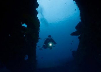 Eksplorasi Laut Dalam Indonesia: Ilmuwan Ungkap 14 Spesies Megafauna dan Gunung Bawah Laut