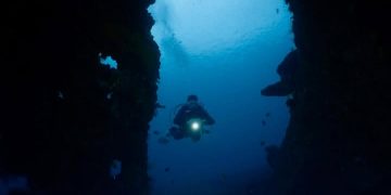 Eksplorasi Laut Dalam Indonesia: Ilmuwan Ungkap 14 Spesies Megafauna dan Gunung Bawah Laut