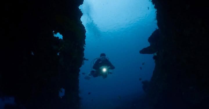 Eksplorasi Laut Dalam Indonesia: Ilmuwan Ungkap 14 Spesies Megafauna dan Gunung Bawah Laut