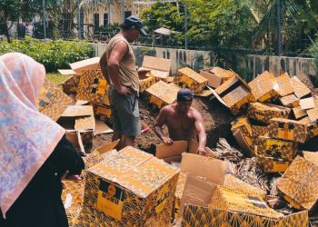 Bisnis Gelap Spesies Dilindungi Terbongkar: 1 Ton Kulit Hiu–Pari Dimusnahkan di Banyuwangi