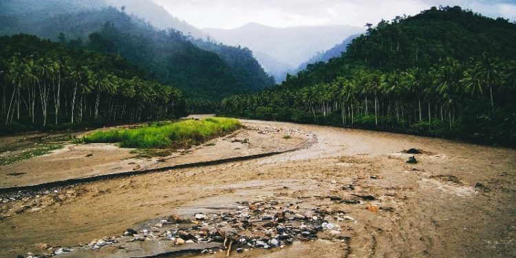 Wallacea Tergerus Deforestasi: Status Taman Nasional dan Warisan Dunia Dinilai Mendesak