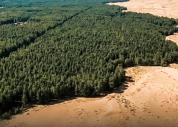 PBB: Krisis Ekologi Dunia Disponsori Sistem Keuangan Global