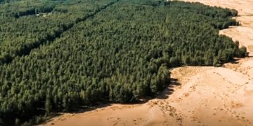 PBB: Krisis Ekologi Dunia Disponsori Sistem Keuangan Global