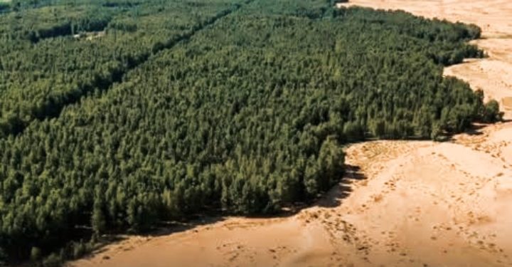 PBB: Krisis Ekologi Dunia Disponsori Sistem Keuangan Global