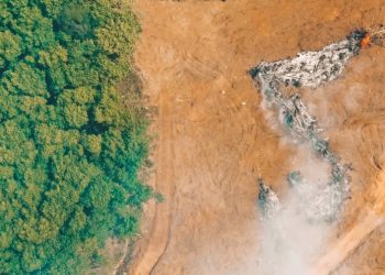 Hutan Pulau Jawa Kian Habis, Krisis Sosial dan Ekologis Jadi Bom Waktu