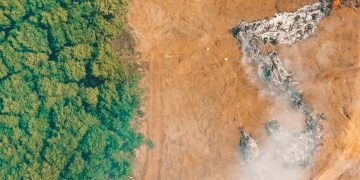 Hutan Pulau Jawa Kian Habis, Krisis Sosial dan Ekologis Jadi Bom Waktu