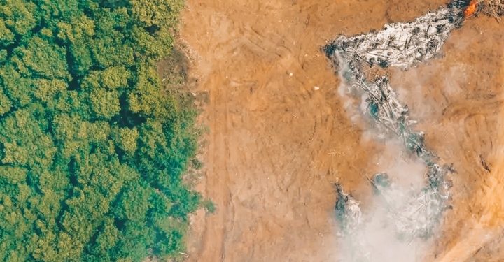 Hutan Pulau Jawa Kian Habis, Krisis Sosial dan Ekologis Jadi Bom Waktu