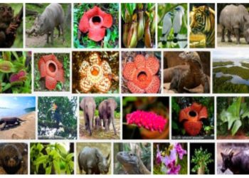 Darurat Biopiracy: BRIN–UGM Bergerak Amankan Harta Karun Biodiversitas Indonesia