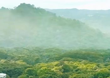 Kebun Raya Purwodadi Jadi Benteng Terakhir Konservasi Indonesia