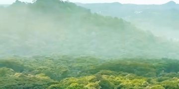 Kebun Raya Purwodadi Jadi Benteng Terakhir Konservasi Indonesia