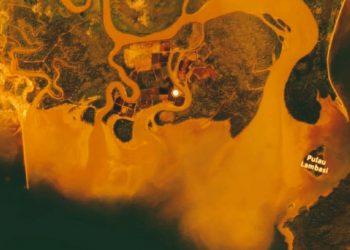 Ancaman Krisis Iklim: Tiga Daerah di Sulawesi Tenggara Kategori Rawan