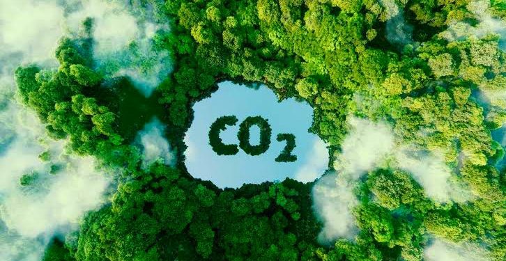 Era Baru Ekonomi Hijau: Kekayaan Alam Indonesia Masuk Pasar Karbon Global